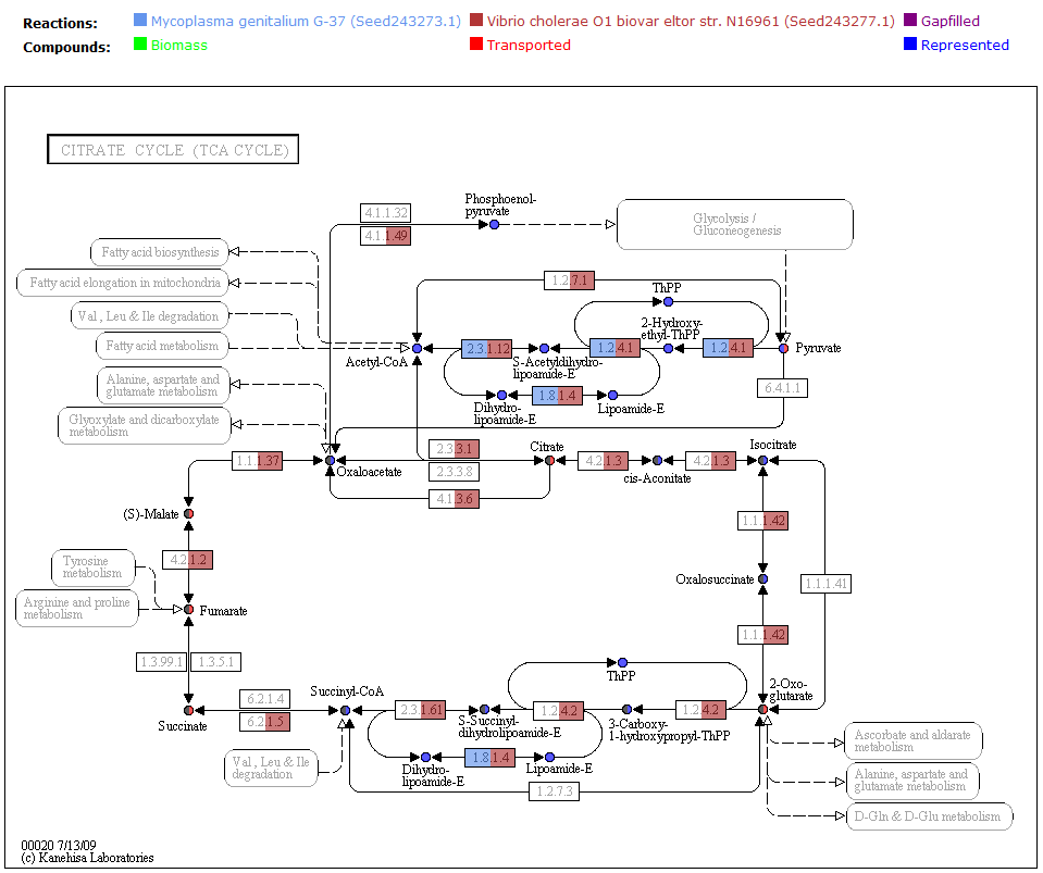 KEGG Maps