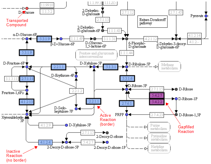 Annotated KEGG Map