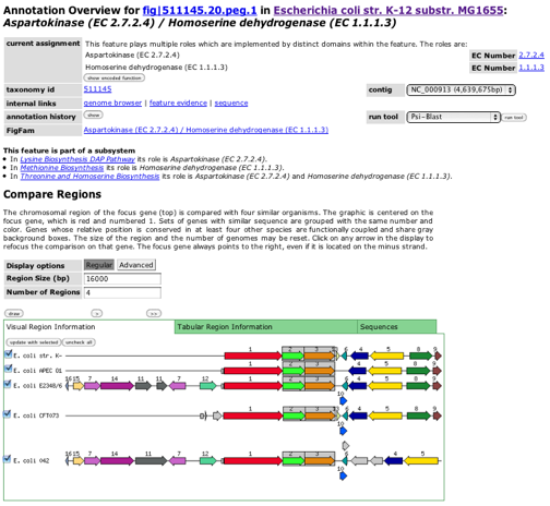 annotationoverview.png